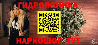 ГАЛЛЮЦИНОГЕННЫЕ ГРИБЫ Новозыбков