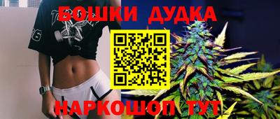 ГАЛЛЮЦИНОГЕННЫЕ ГРИБЫ Новозыбков