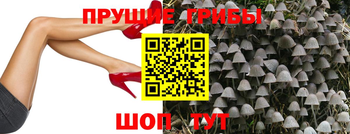 Псилоцибиновые грибы Cubensis  Вход с VPN  Семёнов  Псилоцибиновые грибы Psilocybine cubensis 